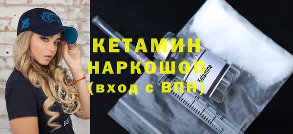 СК Алексин