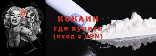 СК Алексин