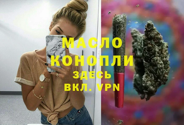 СК Алексин