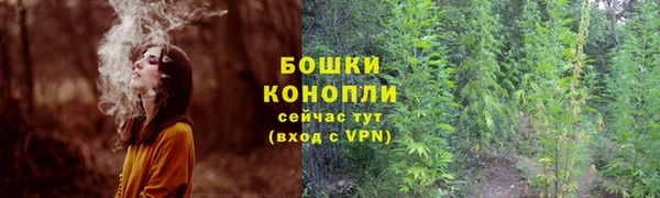 прущие грибы Алексеевка