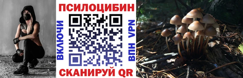 Псилоцибиновые грибы GOLDEN TEACHER  Завитинск 